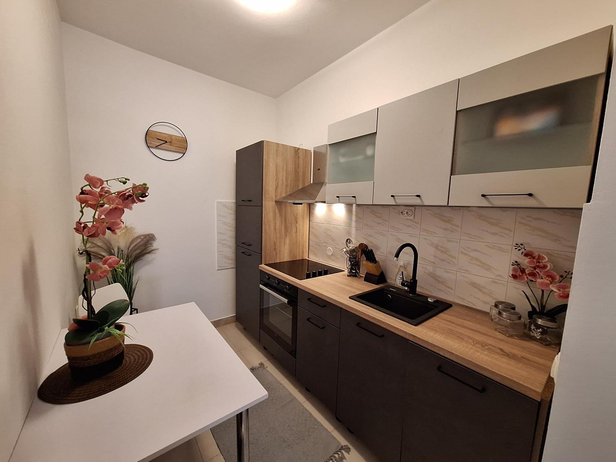Apartment Valeria Orebic